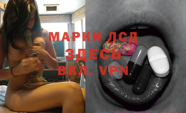 PSILOCYBIN Надым