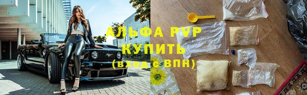 PSILOCYBIN Надым