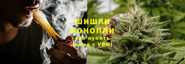 PSILOCYBIN Надым